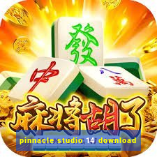 pinnacle studio 14 download